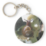 Life in the Slow Lane keychains