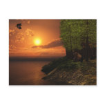 Life In The Wilderness Post Cards