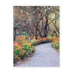 Life is a journey postcards