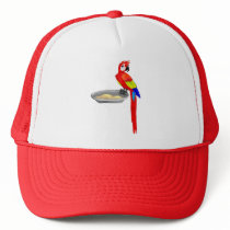 Life is colourful mesh hat