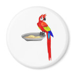Life is colourful magnets