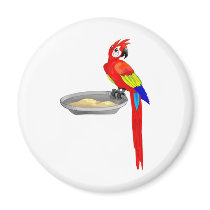 Life is colourful magnets