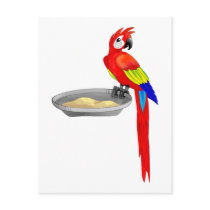 Life is colourful postcards