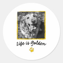 Life Is Golden (Retriever) Sticker