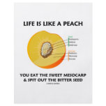 Life Is Like A Peach Eat Sweet Mesocarp Spit Out flyers