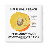 Life Is Like A Peach Permanent Stains Accumulate magnets