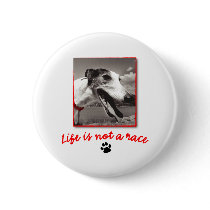 Life is NOT a Race