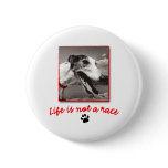 Life is NOT a Race buttons