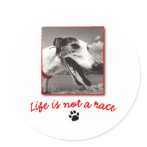 Life is NOT a Race