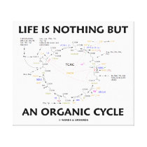 Life Is Nothing But An Organic Cycle (Krebs Cycle)