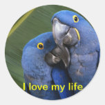 Life is what you make it! Tropical birds Round Sticker