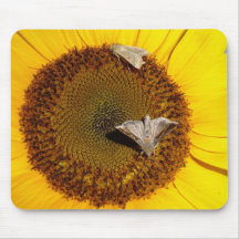 Life of a Sunflower Mousepads