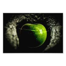 life on the apple photograph