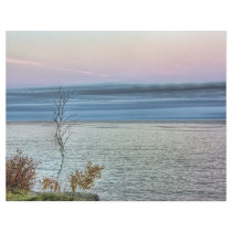 Life on the Shore