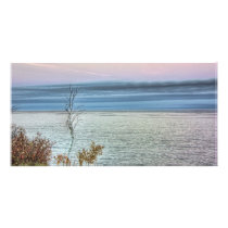 Life on the Shore