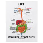 Life Requires Lots Of Guts (Digestive System) flyers