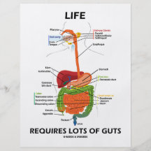 Life Requires Lots Of Guts (Digestive System) Flyer