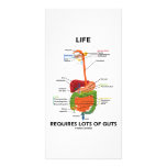Life Requires Lots Of Guts (Digestive System) photo cards