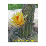 Life Takes Courage postcards
