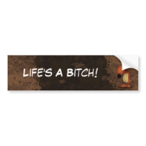 Life's A Bitch!