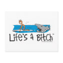 Life's A Bitch - Shark Postcard