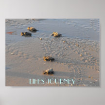 lifes  journey sea turtles posters