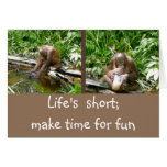 Life's short, have fun cards