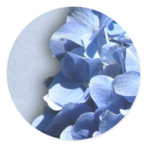 LIght and dark blue hydrangeas Stickers