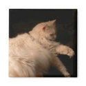 Light and Shadow Cat Square Magnet