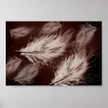 Light As A Feather (Canvas Print)