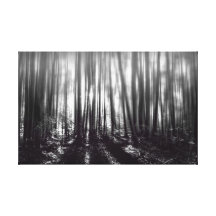 Light at the End Canvas Prints