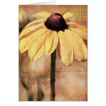 Light Black Eyed Susan Flower Cards