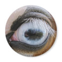 light blue horse eye magnets