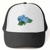 Light Blue Hydrangea