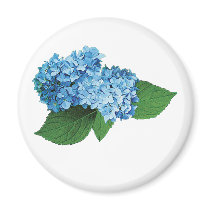 Light Blue Hydrangea