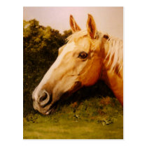Light Chestnut Horse postcards