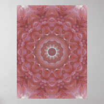 Light Dahlia Poster