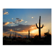 Light Fades in a Blaze Postcard