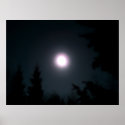 Light in the Darkness posters