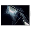 Light in the Mosque cards