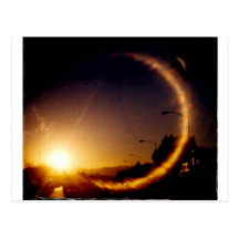 Light.JPG Post Card