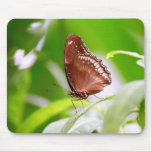 Light Landing Mousepad