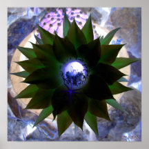 Light of Nature Print