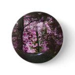 Light On Path Nature Button