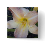 Light orange lily pins