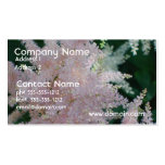 Light Pink Astilbe Flowers on Business Cards