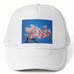 Light Pink Cherry Blossoms On A Branch Mesh Hat