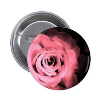 Light Pink - Red Rose buttons