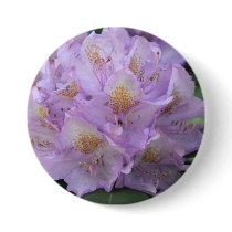 Light Plum Rhododendron in Spring