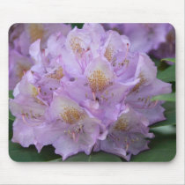 Light Plum Rhododendron in Spring
